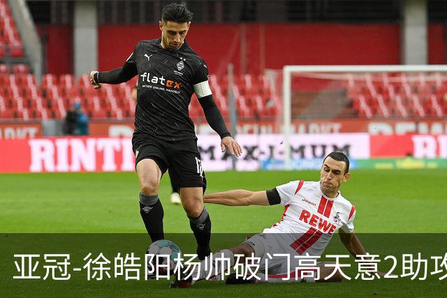 亚冠-徐皓阳杨帅破门高天意2助攻 申花2-1淡滨尼流浪者